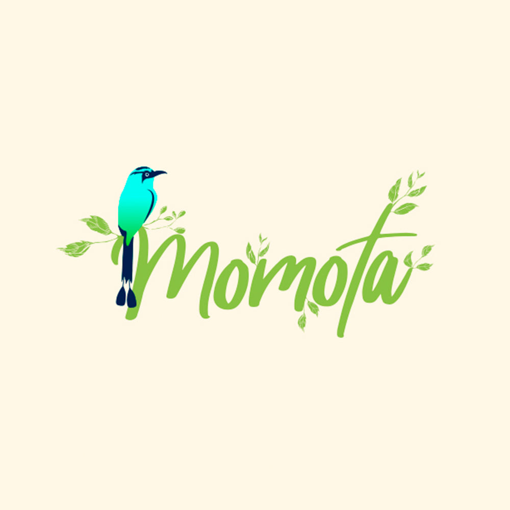 Momota